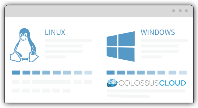 Windows and Linux VPS